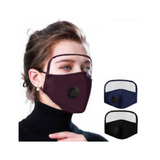 2 in 1 Mask Shield & Face Mask (Adult)